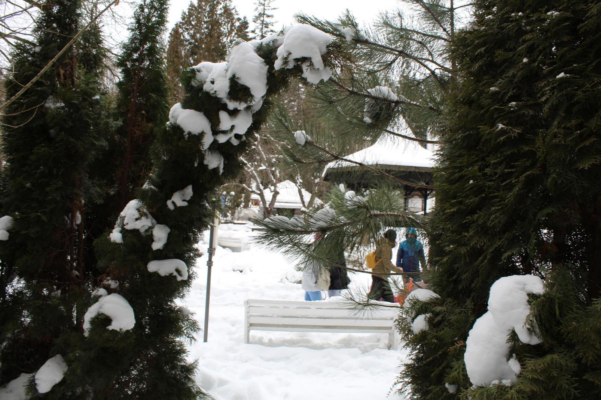 Central Park View Sinaia Exterior photo