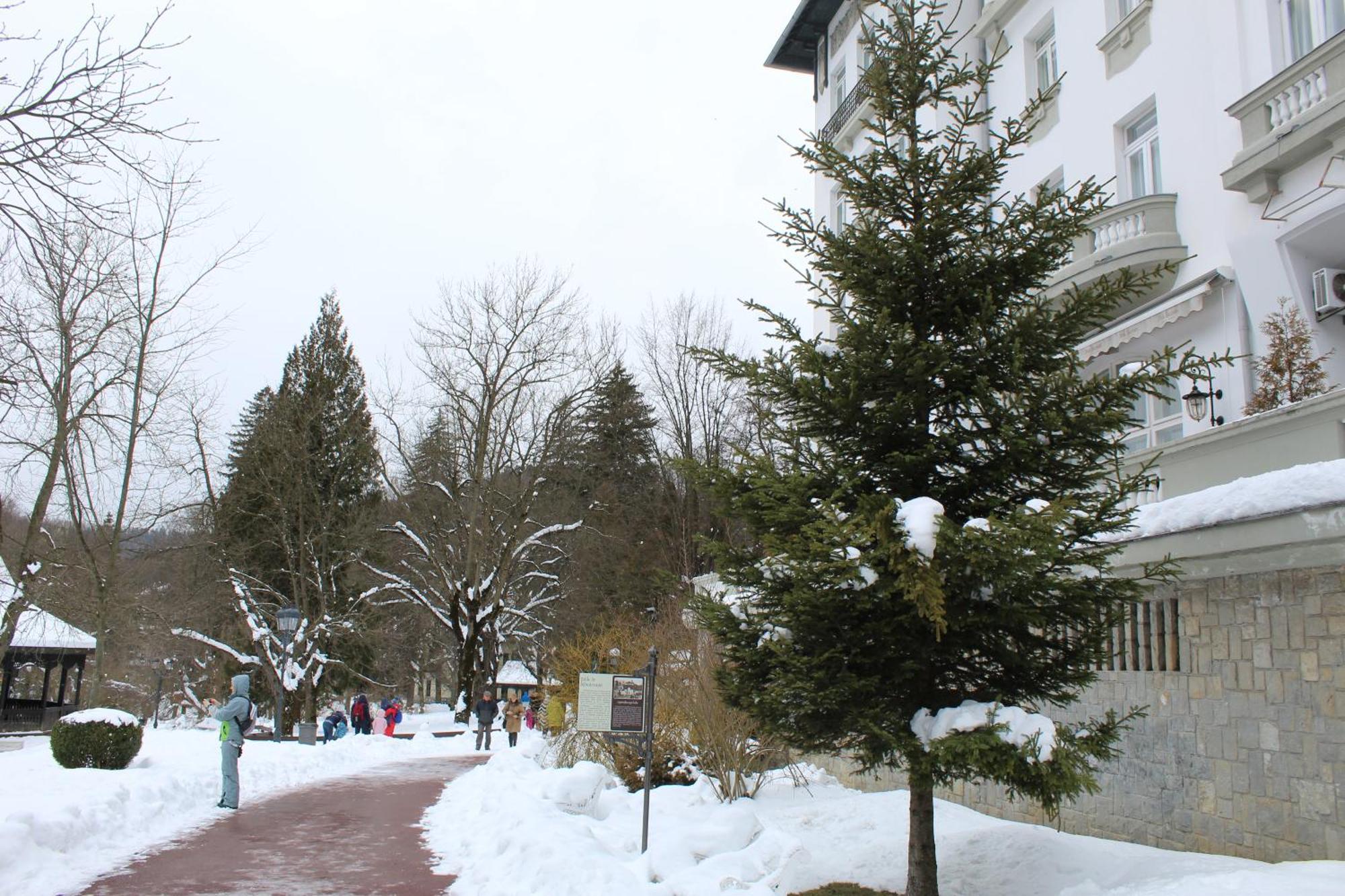 Central Park View Sinaia Exterior photo