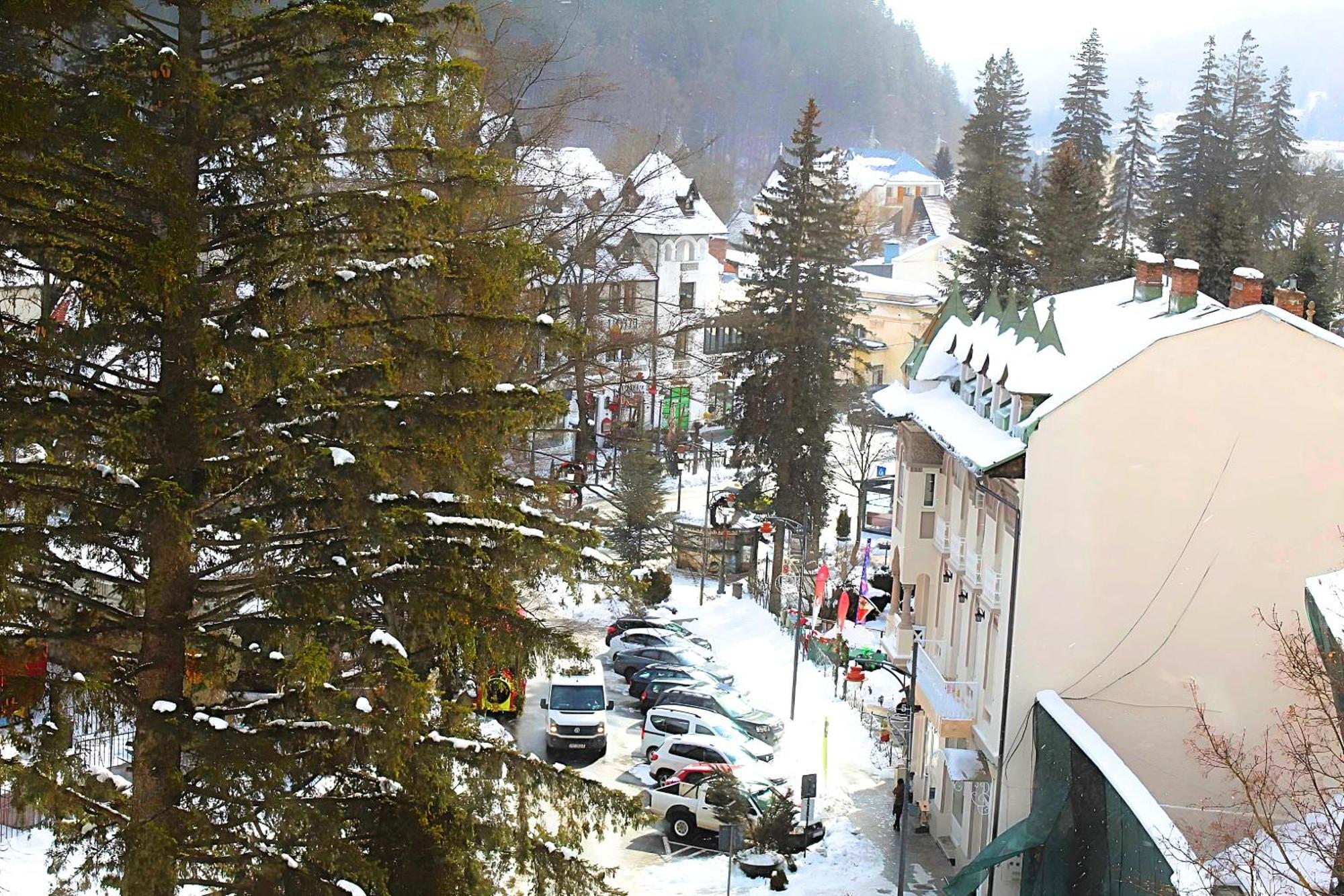 Central Park View Sinaia Exterior photo