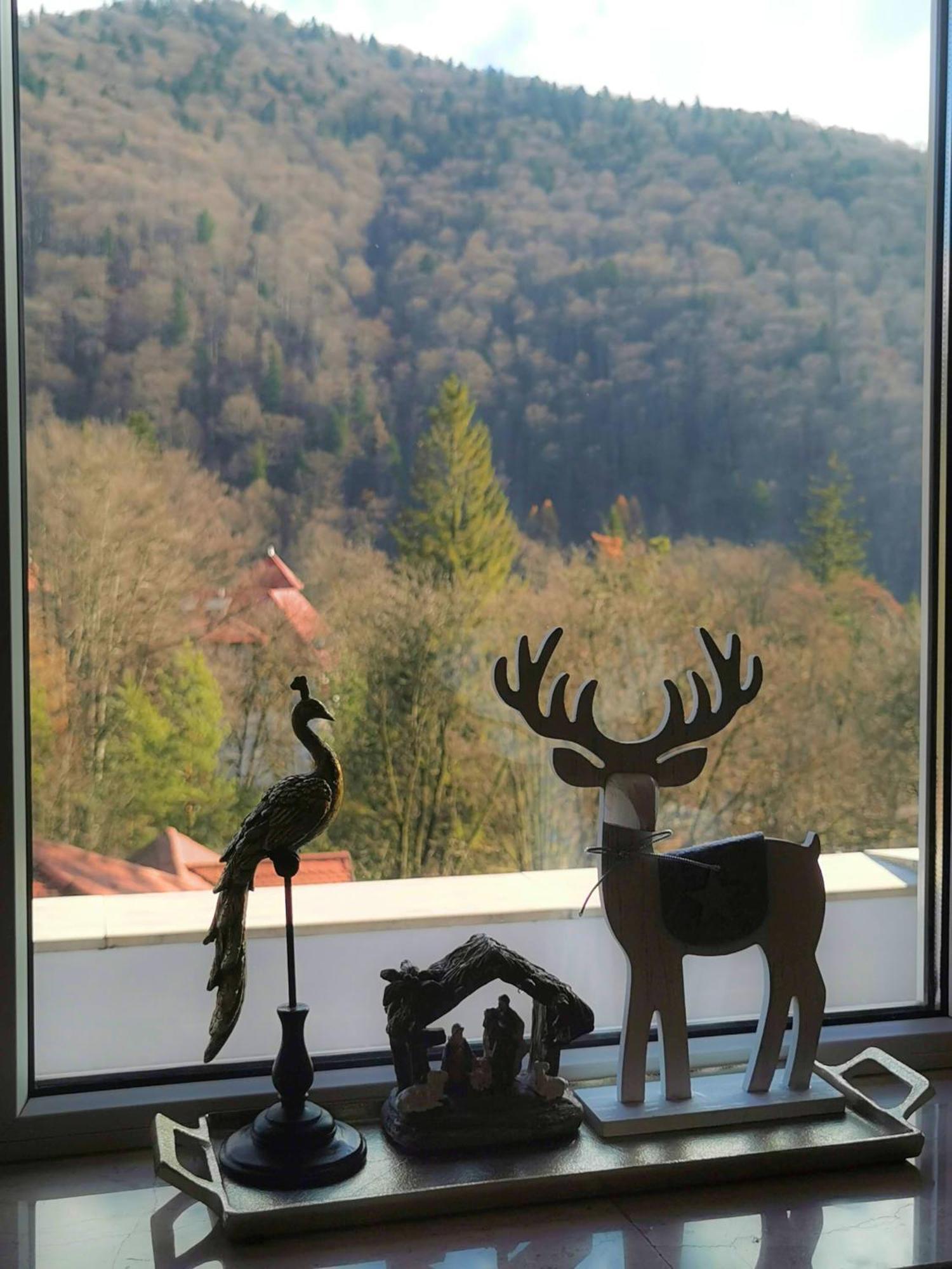 Central Park View Sinaia Exterior photo
